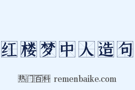 红楼梦中人造句是什么意思的图片
